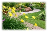 Harry Carroll Landscaping Services 1130498 Image 1
