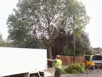 Haywards Tree Services   Harrow UK 1124691 Image 1