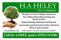 Heley Tree Care 1116114 Image 6