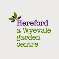 Hereford, a Wyevale Garden Centre 1109664 Image 1