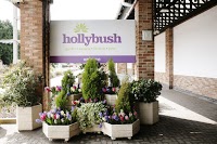 Hollybush Garden Centre 1117533 Image 9
