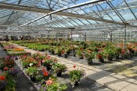 Hopwood Garden Centre In Birmingham Worcestershire B48 7tt