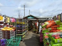 Hopwood Garden Centre In Birmingham Worcestershire B48 7tt