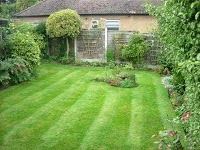 Howes Garden Services 1127349 Image 7