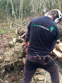 Huw Forestry tree care and woodland management 1125956 Image 4