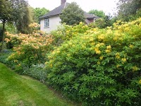 Inspire Home and Garden 1110819 Image 0