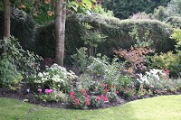 Inspire a horticultural 1110991 Image 0