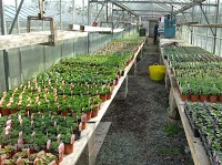 Inver Garden Centre in Larne BT40 3JS