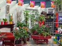 Inver Garden Centre in Larne BT40 3JS