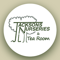 Jacksons Nurseries and Tea Room 1126186 Image 5