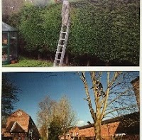 JandS Tree Care 1108425 Image 3