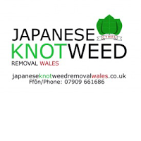Japanese Knotweed Removal Wales Ltd 1127243 Image 2