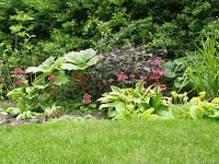 Jim ORourke   Transforming Gardens 1103911 Image 0