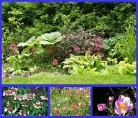 Jim ORourke   Transforming Gardens 1103911 Image 3