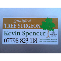 K Spencer Tree Surgery NPTC 1129070 Image 2