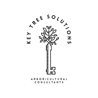 Key Tree Solutions 1127276 Image 1