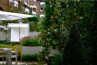 Laara Copley Smith Garden and Landscape Design 1108622 Image 5