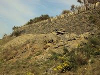 Landscaping and Stonewalling 1104488 Image 1