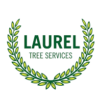 Laurel Tree Services 1105733 Image 4