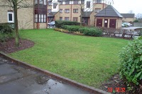 LawN and Border 1113688 Image 0
