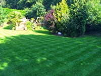 Lawn Care Wales 1119848 Image 4