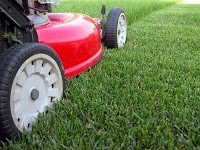 Lawn Order Garden and Grounds Maintenance 1128258 Image 0