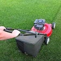 Lawn Order Garden and Grounds Maintenance 1128258 Image 4