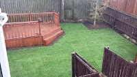 Lawn in order 1131499 Image 0