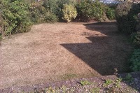 Lawncare lawn treatment by Lawnscience Wirral 1110004 Image 1