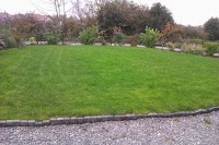 Lawncare lawn treatment by Lawnscience Wirral 1110004 Image 2