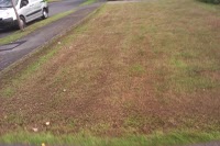 Lawncare lawn treatment by Lawnscience Wirral 1110004 Image 4