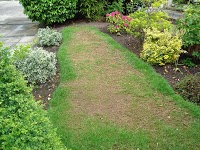 Lawncare lawn treatment by Lawnscience Wirral 1110004 Image 5