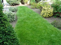 Lawncare lawn treatment by Lawnscience Wirral 1110004 Image 7