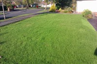 Lawncare lawn treatment by Lawnscience Wirral 1110004 Image 8