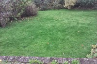 Lawncare lawn treatment by Lawnscience Wirral 1110004 Image 9