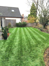 Lawnscience Lawn Care 1118336 Image 1