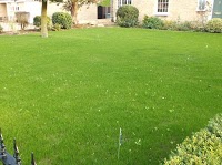 Lawnscience Lawn Care 1118336 Image 3