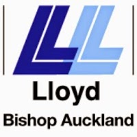 Lloyd Ltd 1113369 Image 4