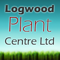 Logwood Plant Centre 1115737 Image 0