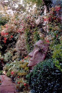 London Landscape Gardener   Bruno Quendolo 1128296 Image 6