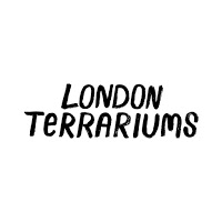 London Terrariums 1126075 Image 4