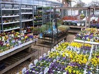 Longacres Garden Shop 1131373 Image 7