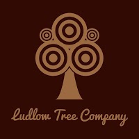 Ludlow Tree Company 1128944 Image 0