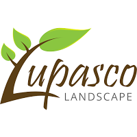 Lupasco Landscape 1131323 Image 1