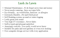 Lush as Lawn 1131509 Image 2