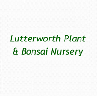 Lutterworth Plant and Bonsai Nursery 1126605 Image 1