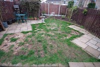 Lux Lawns Artificial Grass Installations 1112074 Image 5