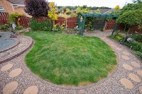 Lux Lawns Artificial Grass Installations 1112074 Image 8