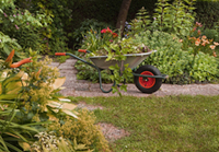 M J Wilson Gardening Services 1116277 Image 4