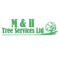 M and H Tree Services Ltd 1111694 Image 1